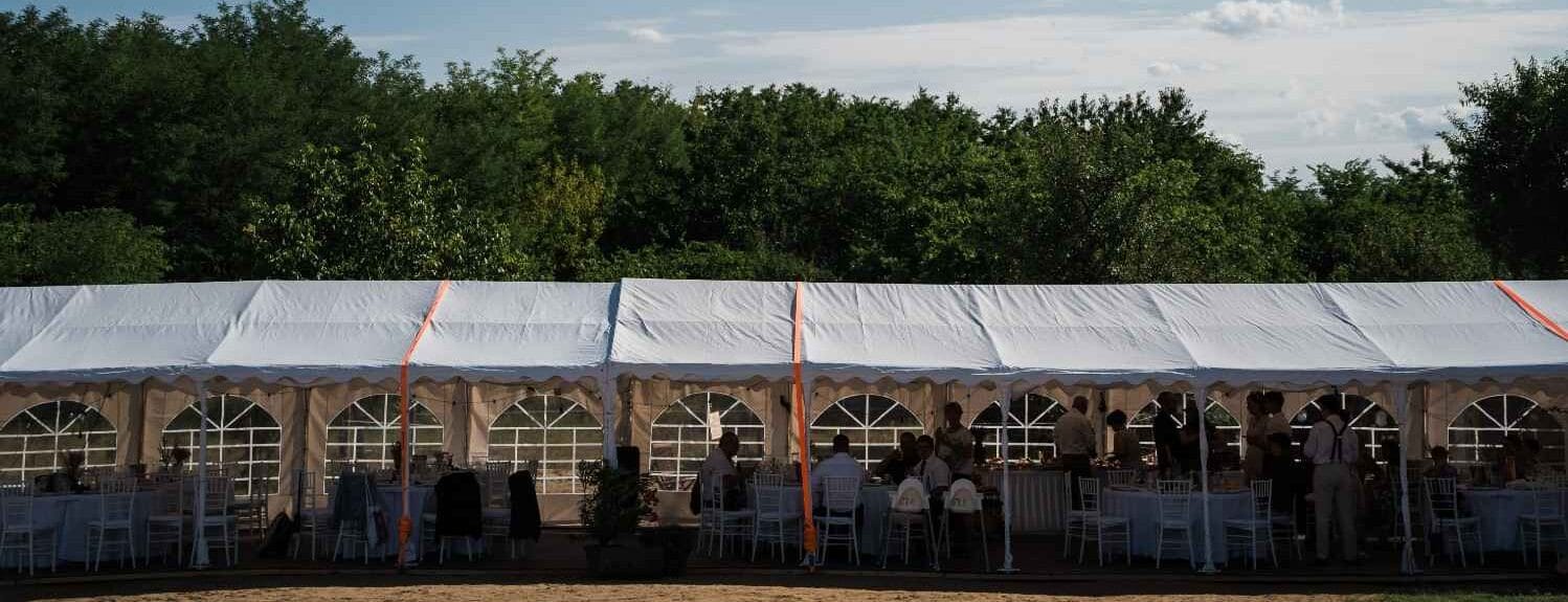 Napfény szűrődik át a tölgyfák lombján a ranch tisztása fölött